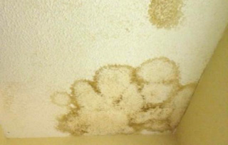 Stains on interior ceilings and walls
